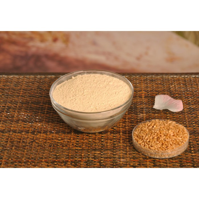 Buğday Gluteni / Vital Wheat Gluten